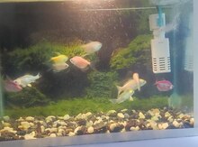 Akvarium