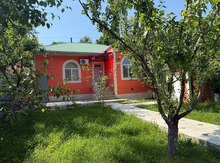 Villa kirayə verilir, Qələdüz kəndi