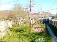 Həyət evi, Oğuz r.