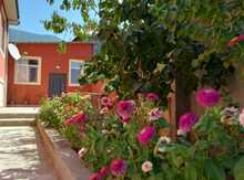 Bağ evi kirayə verilir, Şəki ş.