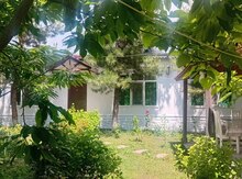 Bağ evi kirayə verilir, Qəbələ ş.