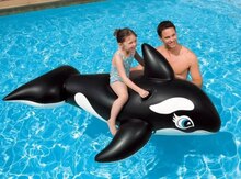 Su üstü delfin şişmə döşək