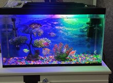Akvarium