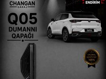 Changan Q05 ön sağ duman eynəyi