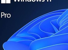 Windows 11 Pro
