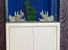 Akvariumlar