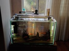 Akvarium