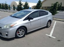 Toyota Prius, 2009 il