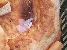 Quru çörək
