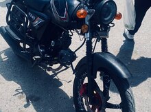 Freedom MX49, 2025 il