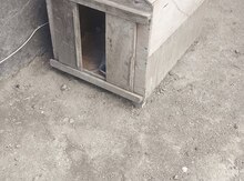 İt yuvası