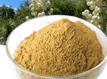 Yucca Saponina Ekstraktı 60%