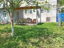Bağ evi kirayə verilir, Qusar r. 