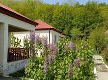 Həyət evi kirayə verilir, Quba r.