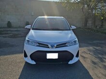 Toyota Corolla, 2019 il