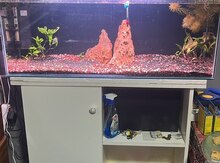 Akvarium və dolab