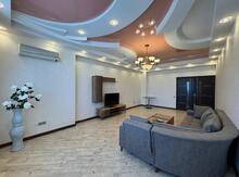 7-otaqlı yeni tikili kirayə verilir, Xan Şuşinski küç., 230 m²