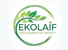 Landşaft işləri