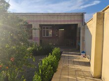 Bağ evi kirayə verilir, Pirşağı qəs.