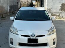 Toyota Prius, 2009 il