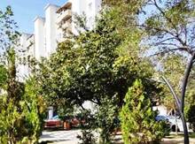 3-otaqlı mənzil, Bakıxanov qəs., 75 m²