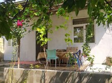 Həyət evi kirayə verilir, Qəbələ ş.