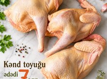 Kənd toyuğu