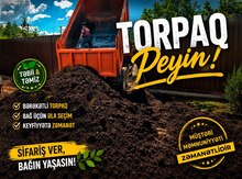 Torpaq