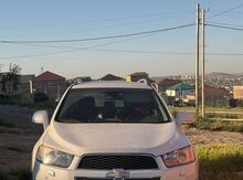 Chevrolet Captiva, 2014 il