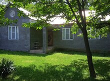 Həyət evi kirayə verilir, Zaqatala r.,Car kəndi