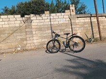 Velosiped 29