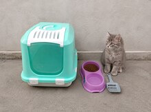 Pişik
