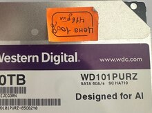 10TB- Western Digital