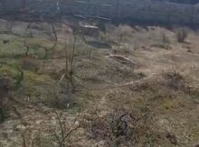 22 sot torpaq sahəsi, Şüvəlan qəs.