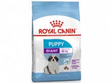 Royal Canin Giant Puppy