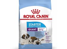 Royal Canin Giant Starter 15kq