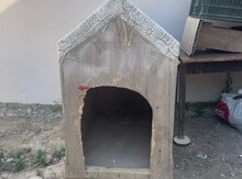 It yuvası