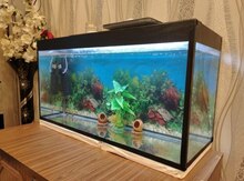 Akvarium 100 lt