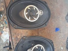 Pioneer dinamiki