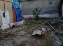 Həyət evi kirayə verilir, Xırdalan ş.