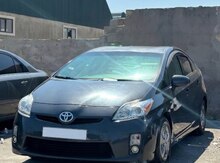 Toyota Prius, 2010 il