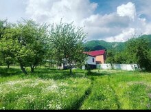 Bağ evi kirayə verilir, İsmayıllı r.
