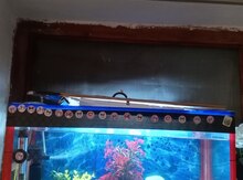 Akvarium 