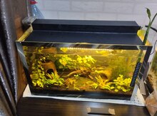 Akvarium