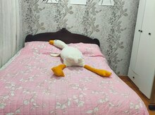 Çarpayı