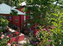 Bağ evi kirayə verilir, Qəbələ r.