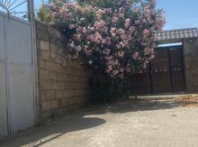 5 sot torpaq sahəsi, Bilgəh qəs.