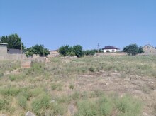 10 sot torpaq sahəsi, Buzovna qəs.