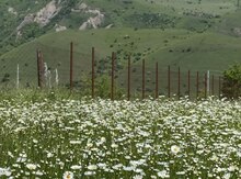 2 sot torpaq sahəsi, Qusar ş.