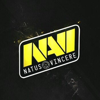Navi Electronics